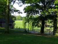 Bienvenue aux Ecuries de la Louvière